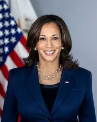 What Kamala Harris Should Do If She Want To Secure The Votes of Black Men